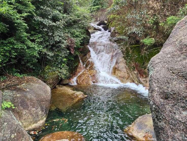 植物大战僵尸18